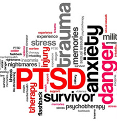 PTSD1 PTSD1
